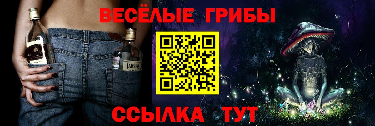 Псилоцибиновые грибы мицелий Ипатово